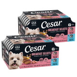 Cesar Classic Loaf in Sauce Wet Dog Food – Premium Small Breed Gourmet Variety for Upscale Pet Parents, 36 Peel Trays