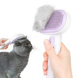 Aumuca Cat Grooming Comb – Kid-Friendly Brush for Learning Pet Care Responsibilities