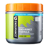 Gatorade Endurance Formula Powder – Trail and Race Course Hydration Mix for Marathon and Ultramarathon Runners