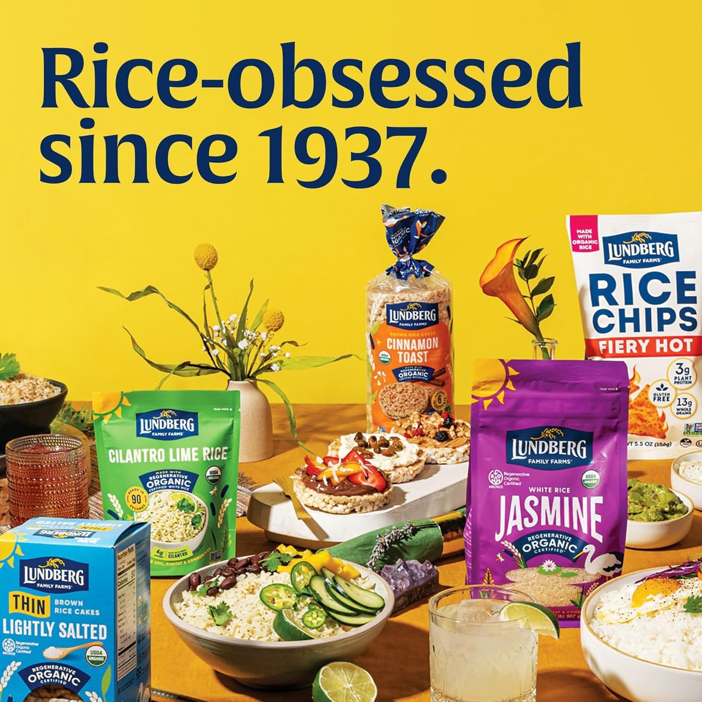 Lundberg Value Size Regenerative Jasmine Rice – Two-Ingredient Clean Label Staple for an Uncluttered Pantry