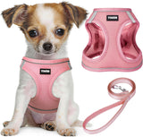 PawSavvy Reflective Puppy Harness Set with Triple-Security Buckle – Roadside Visibility and Anti-Escape Safety for Evening Walks
