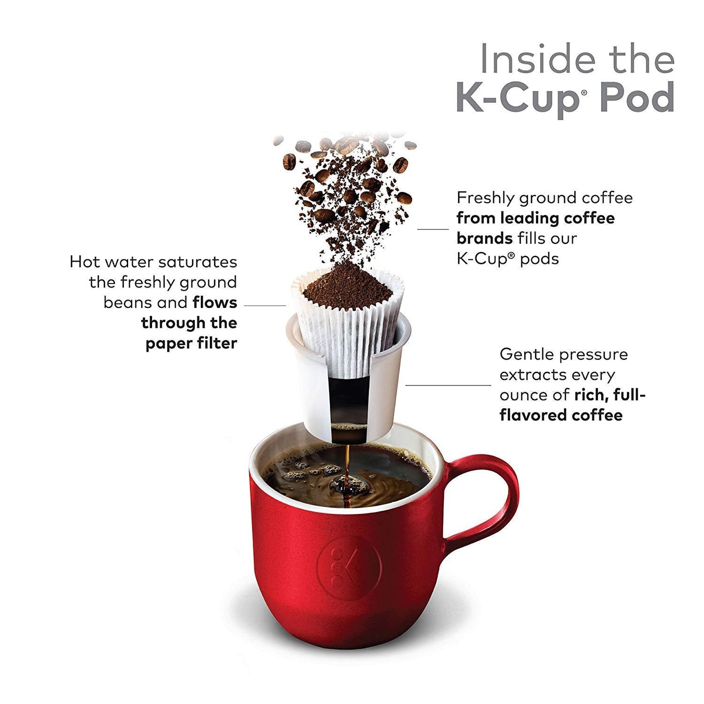 original blend light-roast coffee formulation