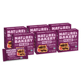 Nature's Bakery Whole Wheat Fig Bars – Plant-Based Snack for Clean Eating, Vegan Twin Packs