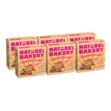 Nature's Bakery Vegan Oatmeal Crumble Bars for Plant Based Diets – Real Fruit Strawberry Snack, 12 Count