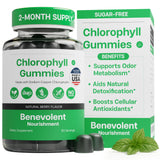 Benevolent Nourishment Chlorophyll Drops – Cozy Housewarming Gift for Women, Vegan Detox Wellness Present, 59ml