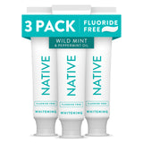 Native Fluoride Free Toothpaste – Safe Kids 2+ Family Brushing with Wild Mint Flavor, 4.1oz (Pack of 3)