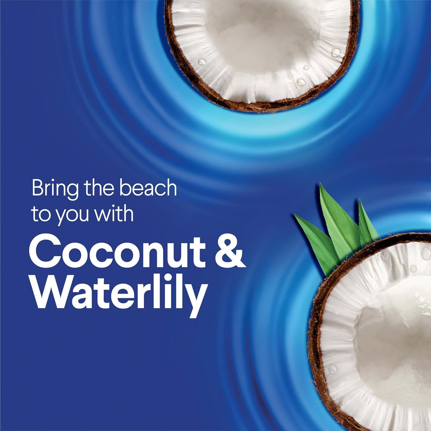 24-hour odor-causing bacteria prevention on non-food contact hard surfaces