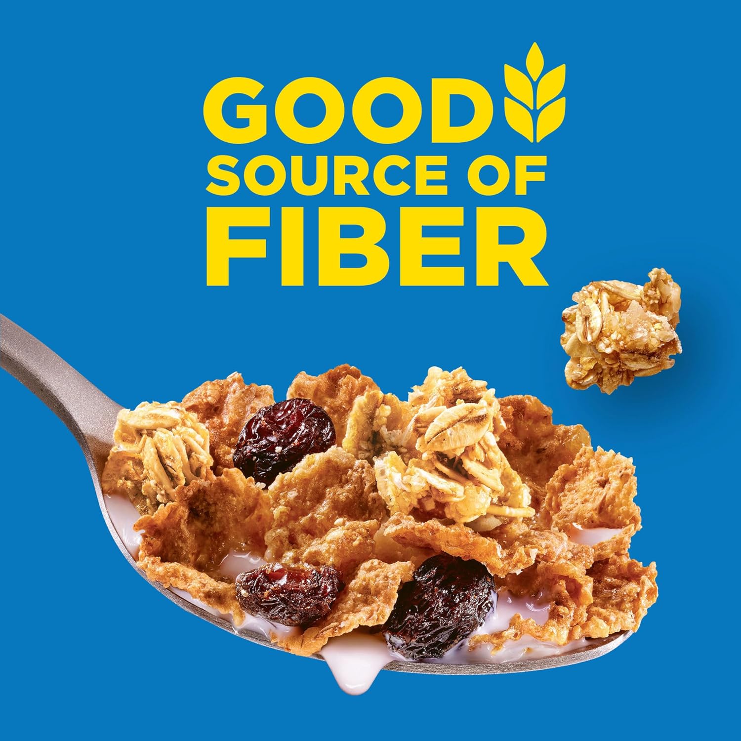 6 key nutrients from real fruit and grains