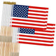 American&World Cup - 100