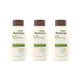 12 Fl Oz (Pack of 3) - Wash
