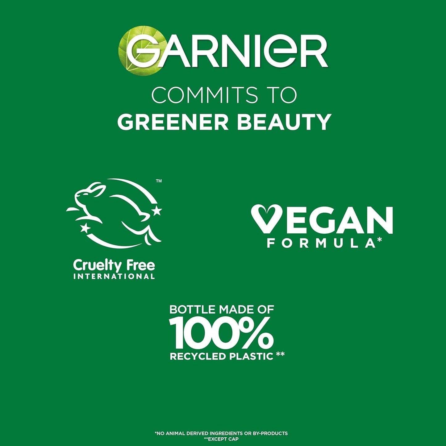 Garnier Fructis Sleek & Shine Leave-In Cream – Spa-Inspired Frizz Control for Your Daily Self-Care Ritual