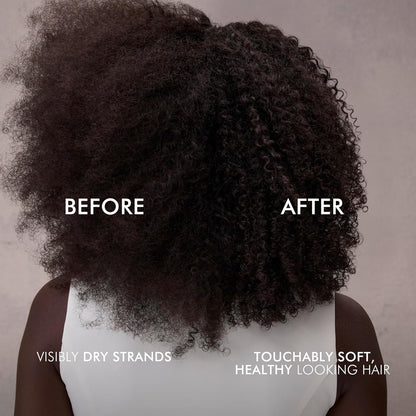 Nexxus Therapee Shampoo for Dry Hair – Nightly Moisture Ritual with POLYSOFT HYDRATOR Technology