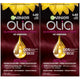 4.60 Dark Intense Auburn - 1 Count (Pack of 2)