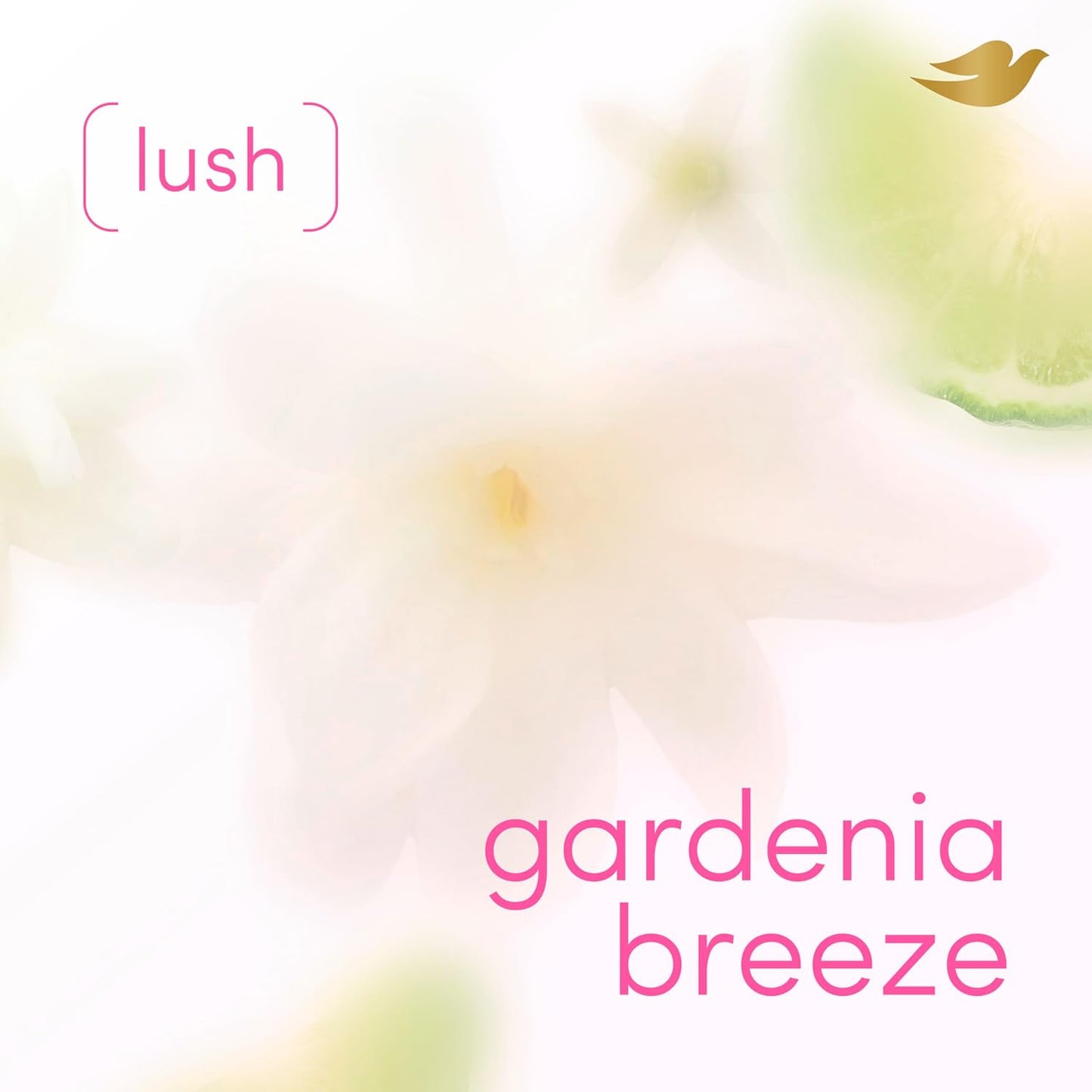aerosol spray designed for whole-body application including intimate areas and just-shaved skin