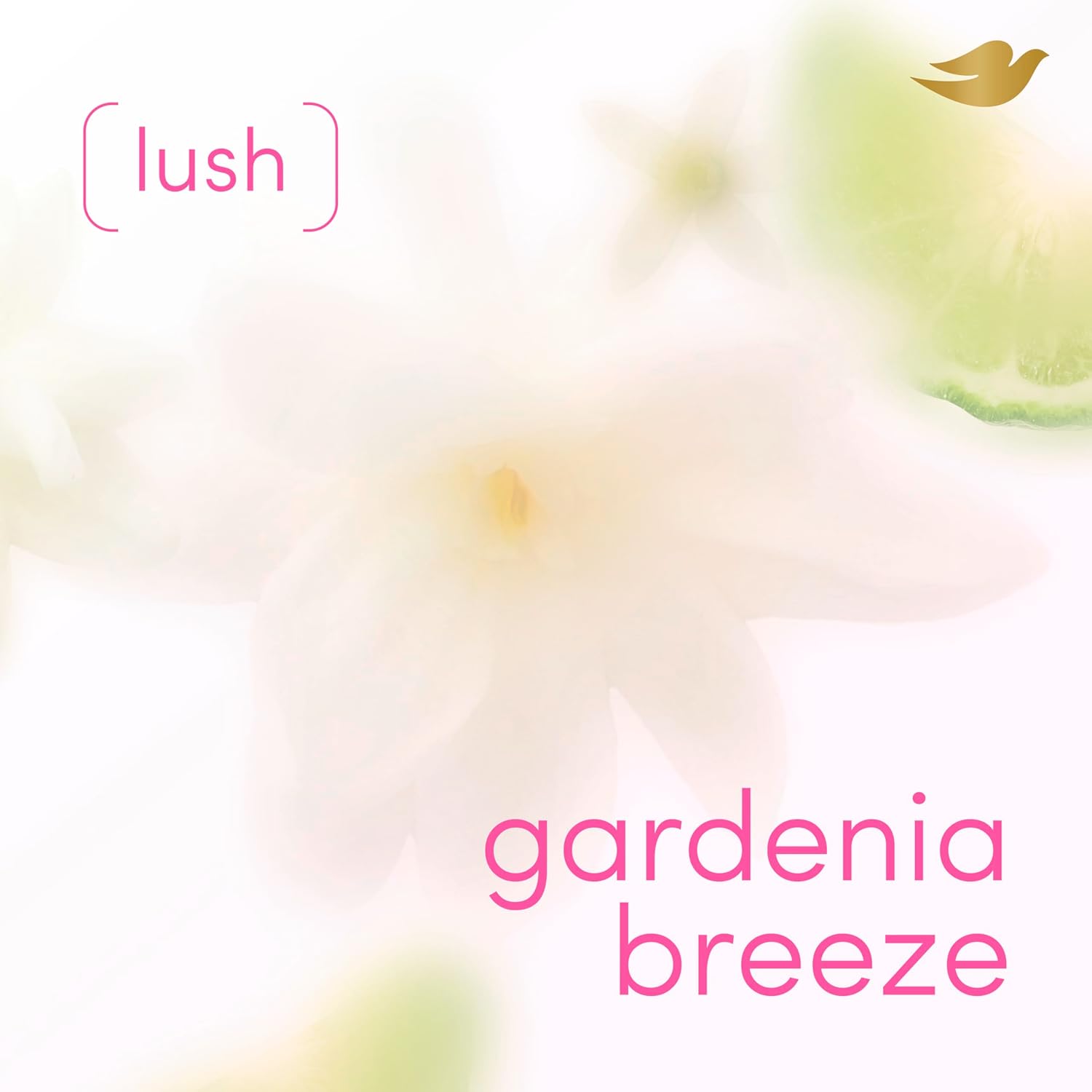 aerosol spray designed for whole-body application including intimate areas and just-shaved skin