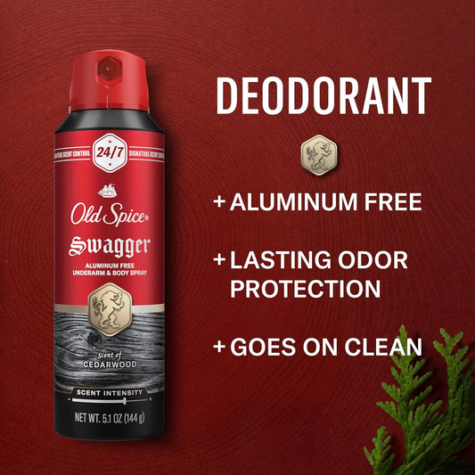 aerosol spray dispenser for fast, even whole-body coverage