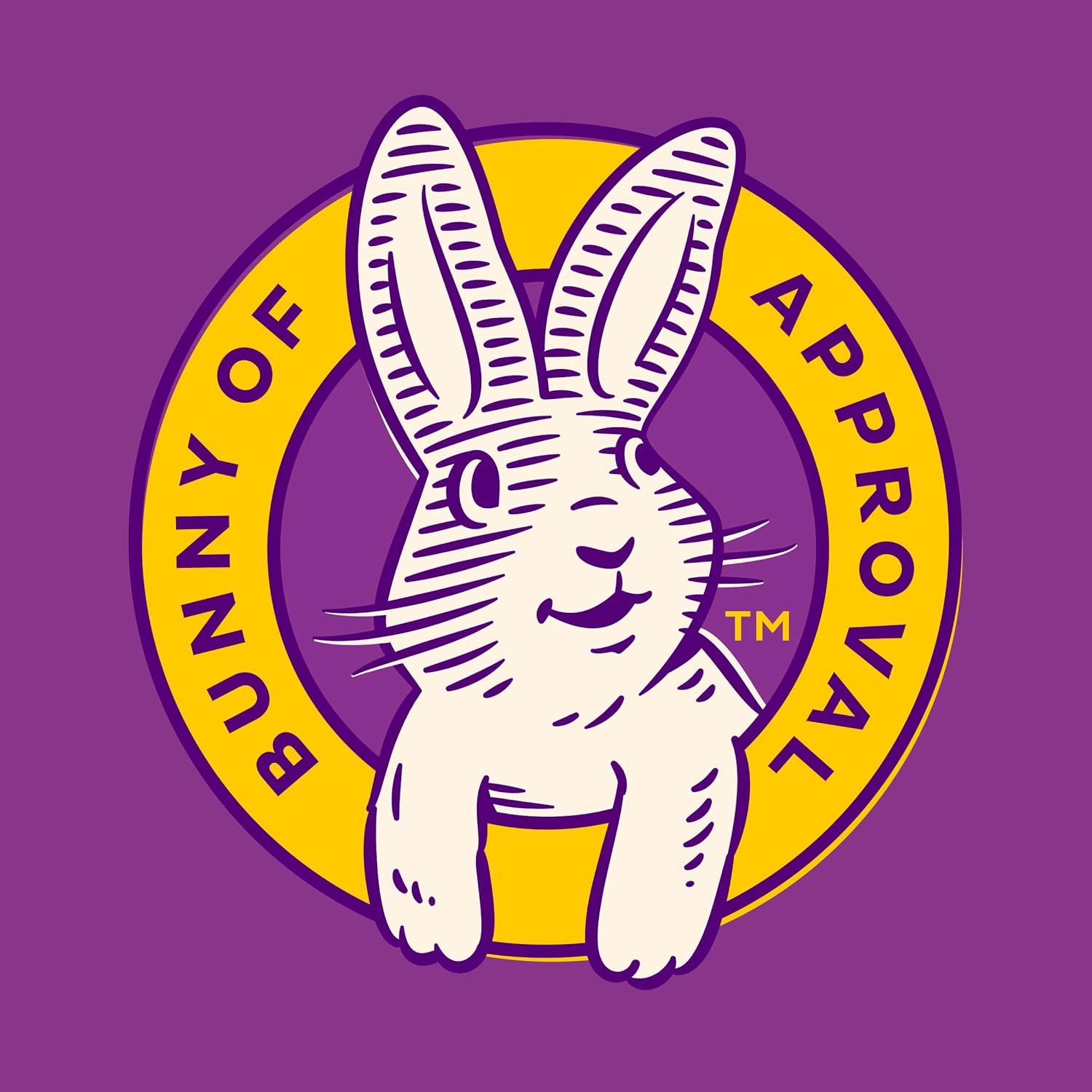 Annie's Organic Bunny Fruit Snacks – Halloween Lunchbox Snack Pack for Kids, 22 Single-Serve Pouches