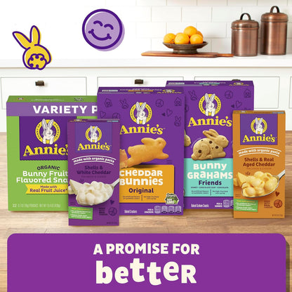 Annie's Snack Variety Pack – Lunchbox Snacks for Preschool and Kindergarten Kids, 12 Organic Pouches
