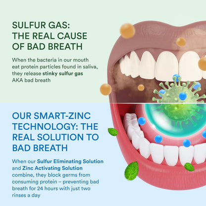 anti-plaque and anti-gingivitis active formula