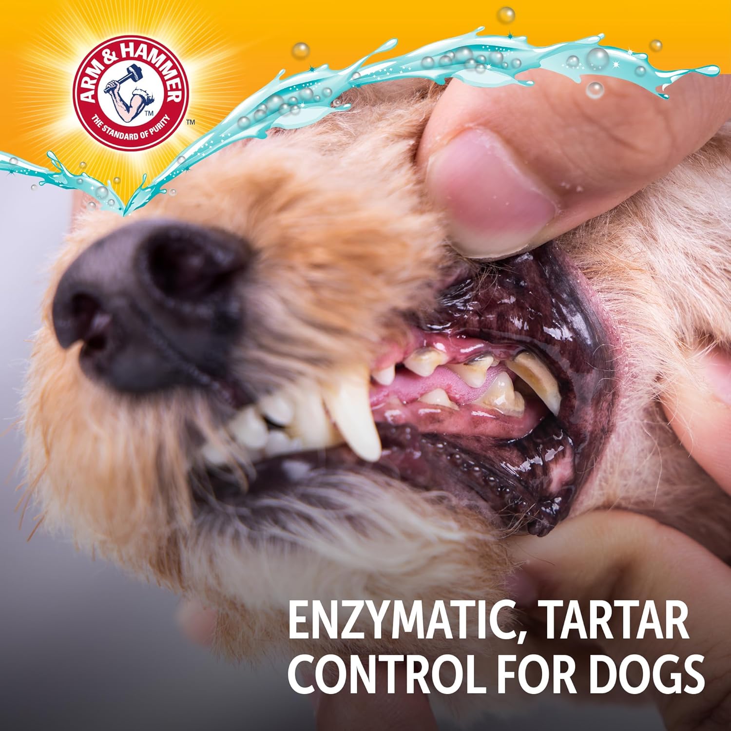 Arm & Hammer Complete Care Enzymatic Dog Toothpaste – Pet Wellness Ritual for Daily Plaque Control, 6.2 Oz