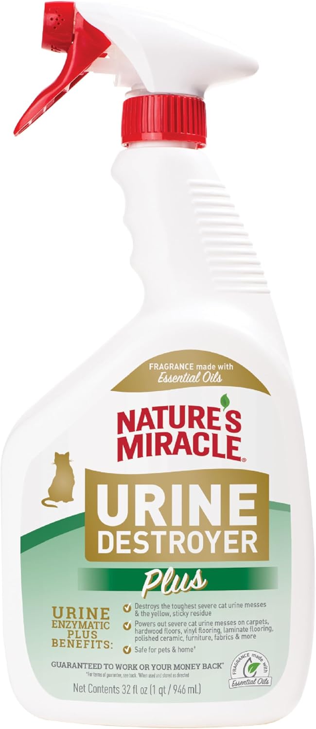 bacteria-based enzymatic formula that activates on contact with bio-based messes