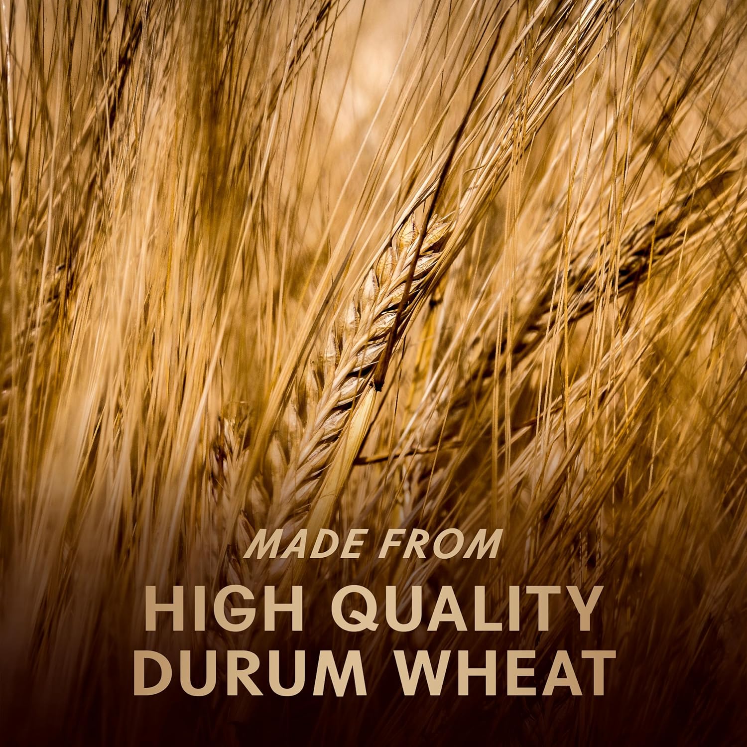 Barilla Al Bronzo Bucatini – Allergen-Friendly Italian Pasta for Clean-Eating Households, Non-GMO Durum Wheat, Lactose and Nut Free