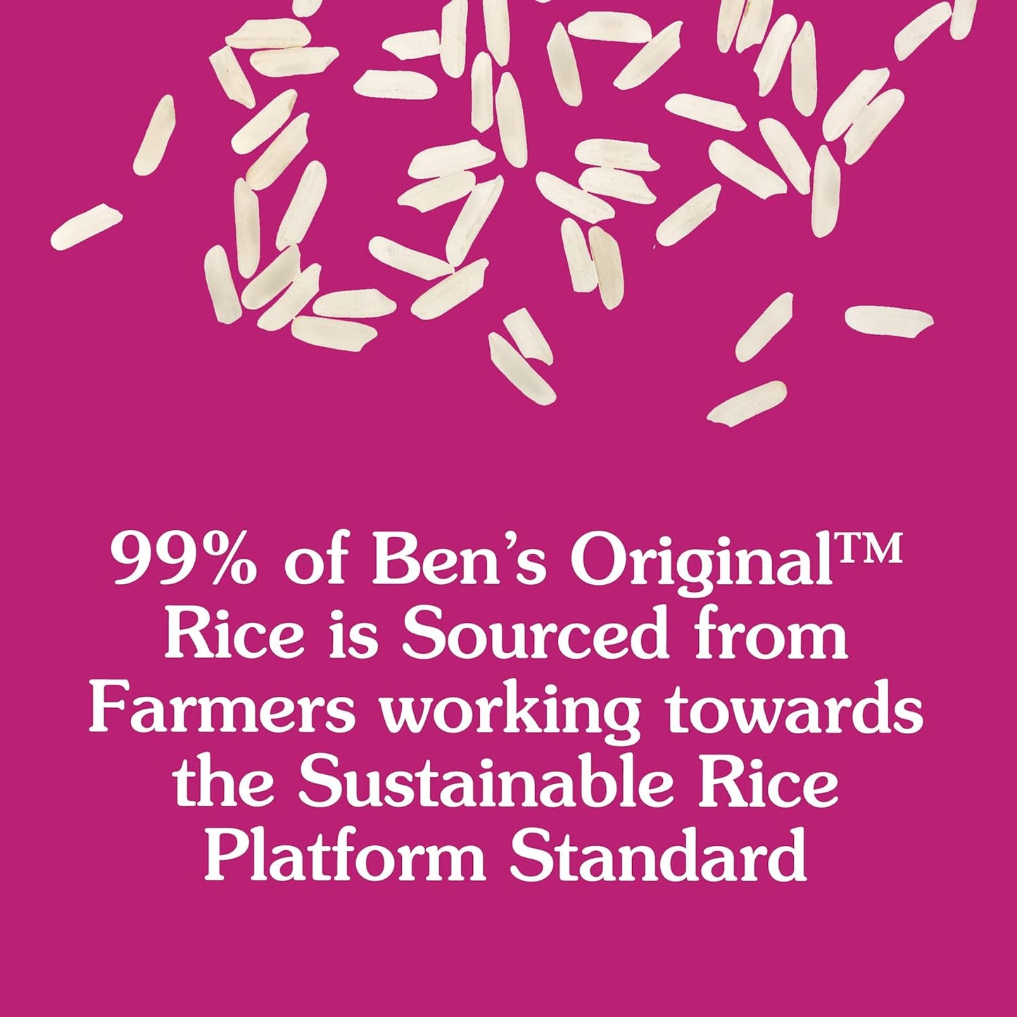 BEN'S ORIGINAL Long Grain White Rice – 10 lb Pantry Staple for Sunday Family Dinners and Holiday Tables