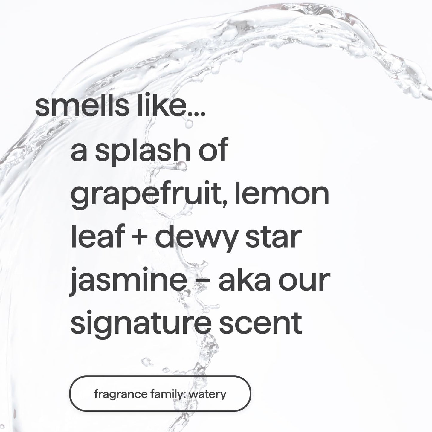 biodegradable formula built on plant-based cleansers