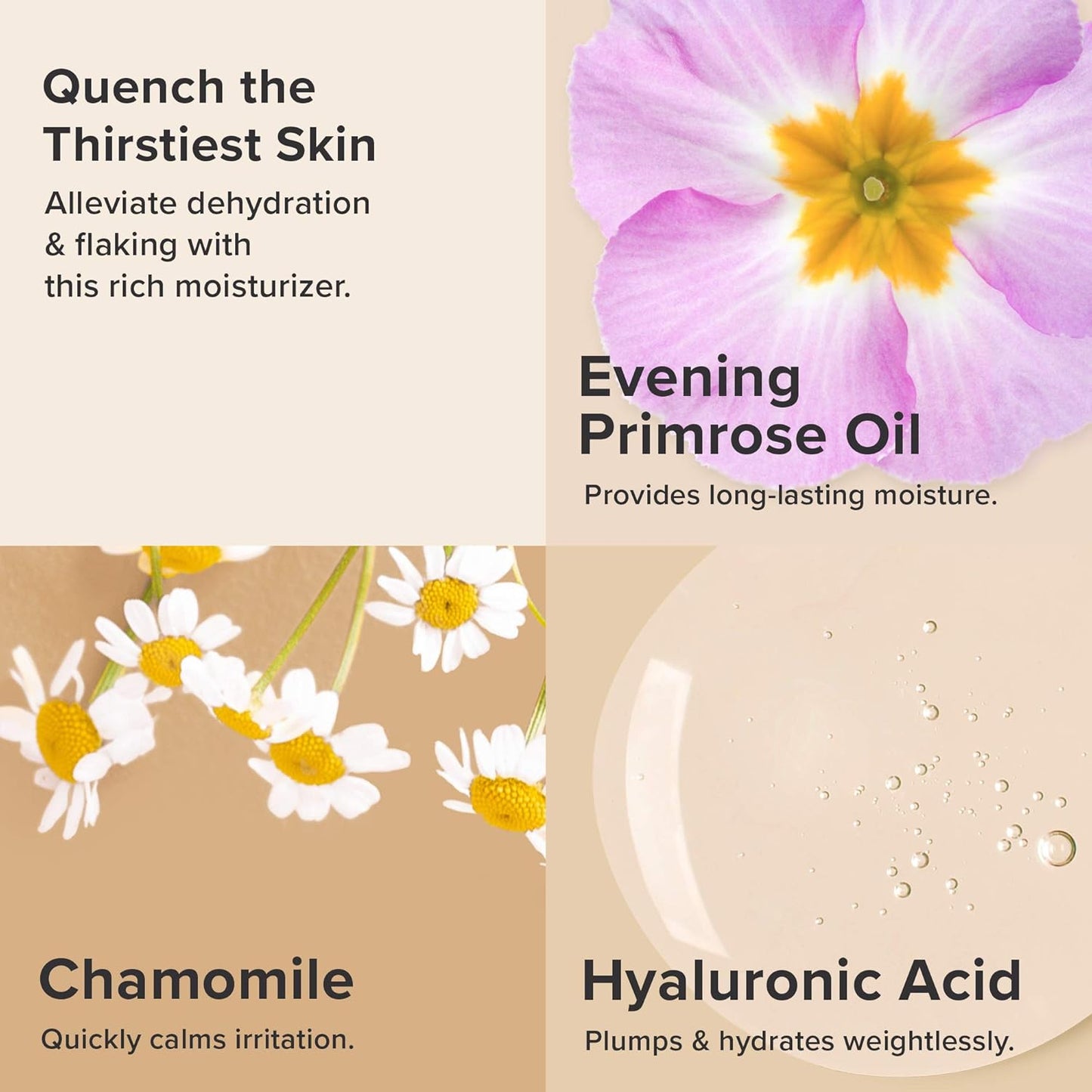 blend of plant-derived oils and antioxidants for nourishment