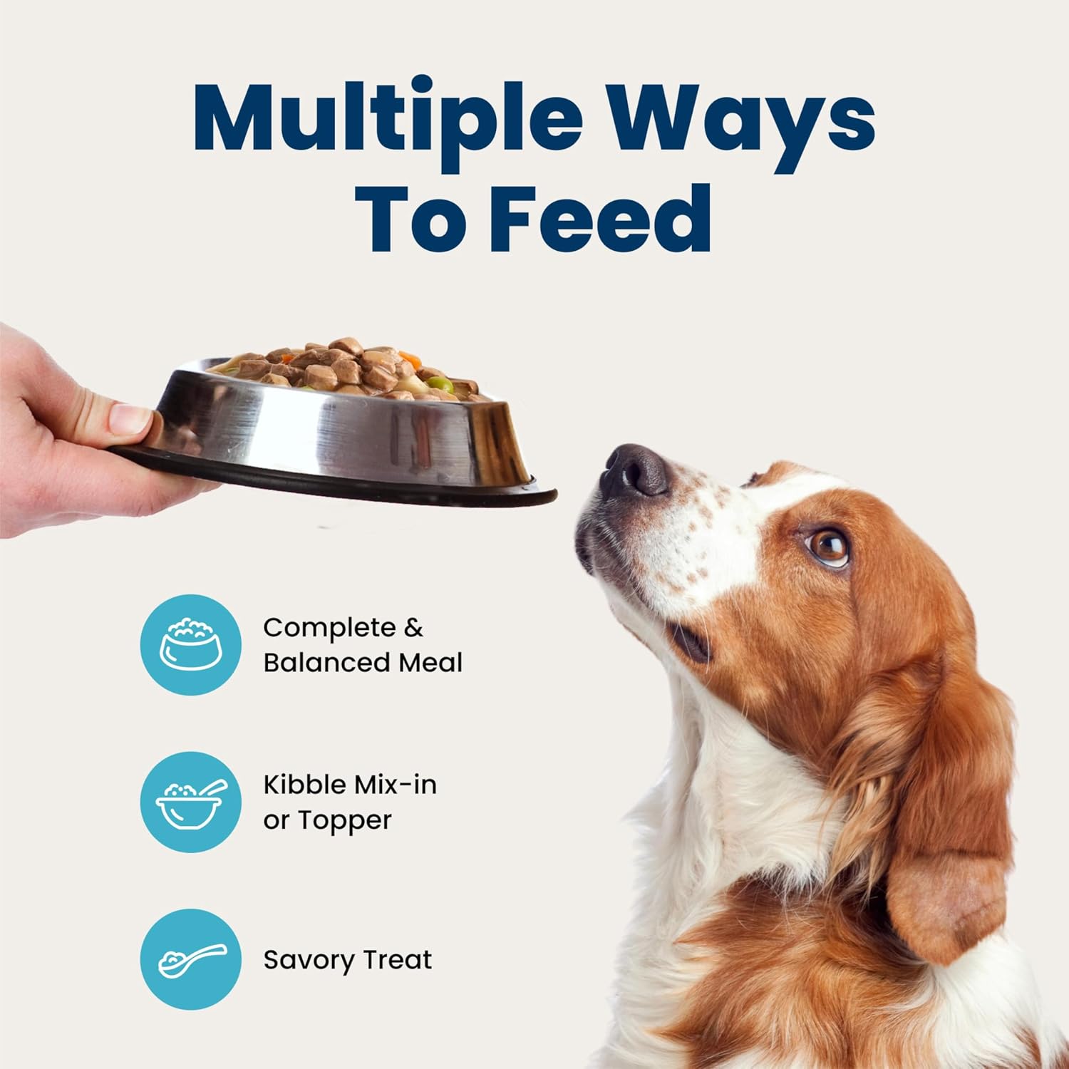 Blue Buffalo Blue's Stew Natural Grain Free Wet Dog Food, Hearty Beef & Country Chicken Variety Pack for Mindful Pet Parents
