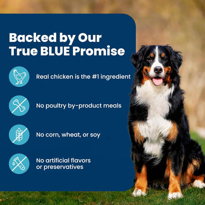 Blue Buffalo Life Protection Formula Adult Dog Food – Chicken & Brown Rice, Wellness-First Daily Nutrition for Lean Muscle and Immune Health, 5 lb