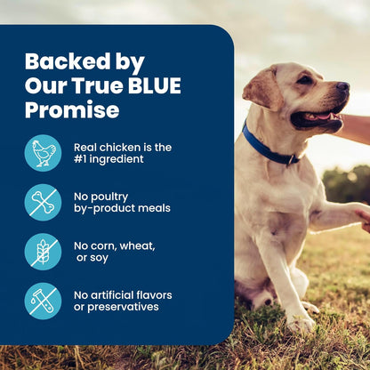 Blue Buffalo Life Protection Formula Senior Dog Food – Premium Chicken & Brown Rice Recipe for Aging Companions, 5 lb