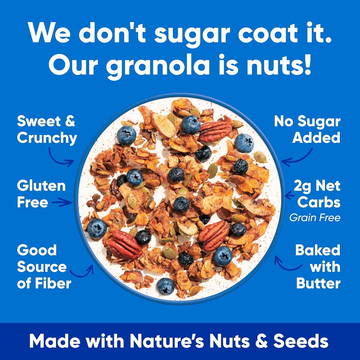 blueberry cinnamon flavor profile with dried blueberries and natural cinnamon
