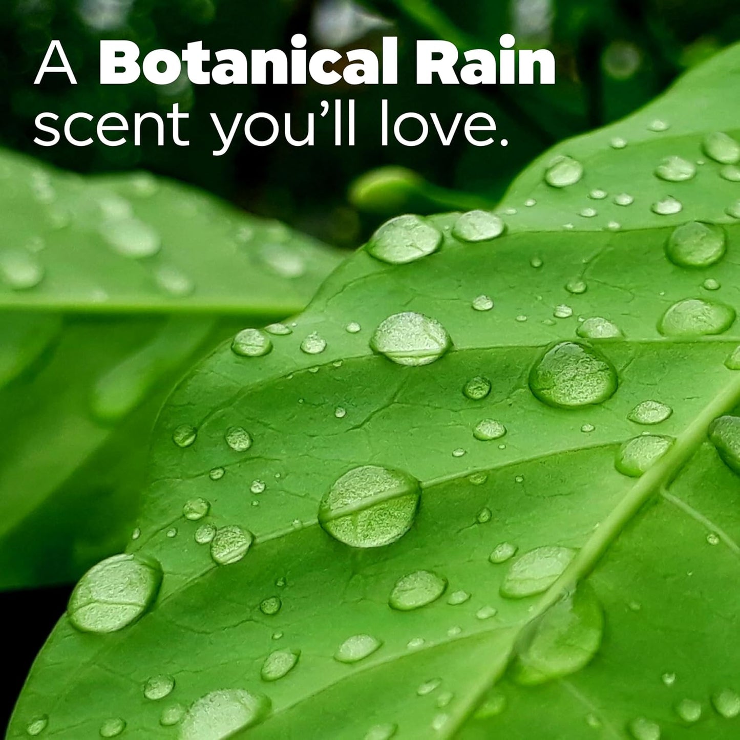 botanical rain scent infusion designed for all-day lasting freshness