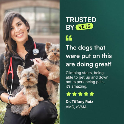 breed-size specific variants (small/medium vs large) and multi-pack count options (1, 2, or 3 packs)