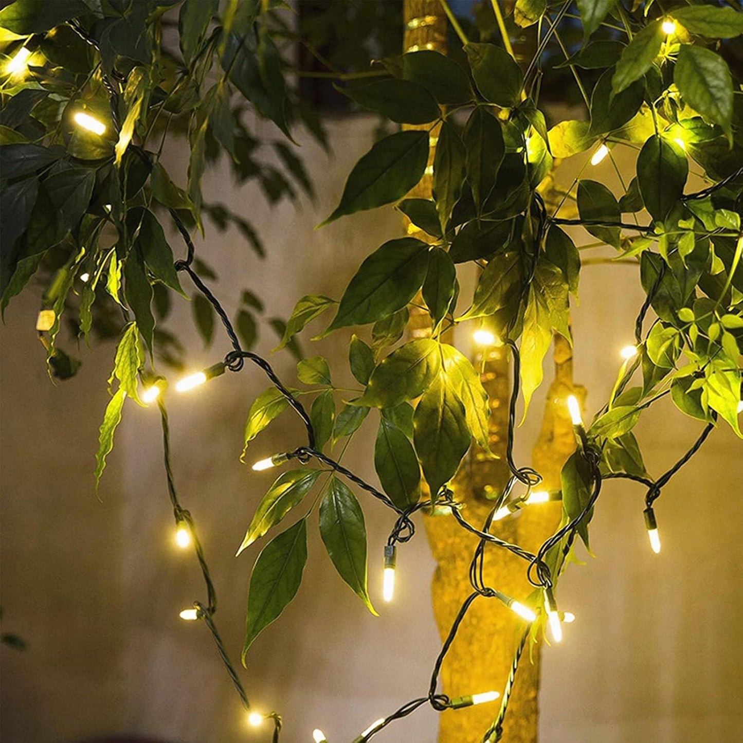 Brightever 35 Ft Commercial-Grade String Lights – End-to-End Connectable Outdoor Lighting for Porch, Pergola & Garden Parties