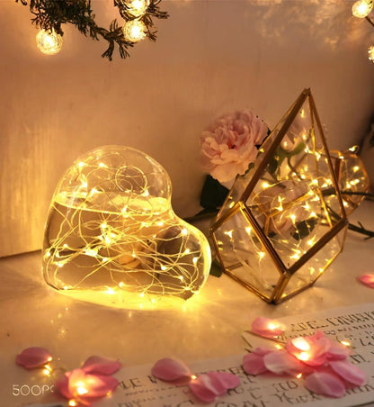 Brightown Battery Operated Fairy Lights – Living Room Shelf Accent Lighting in Warm White