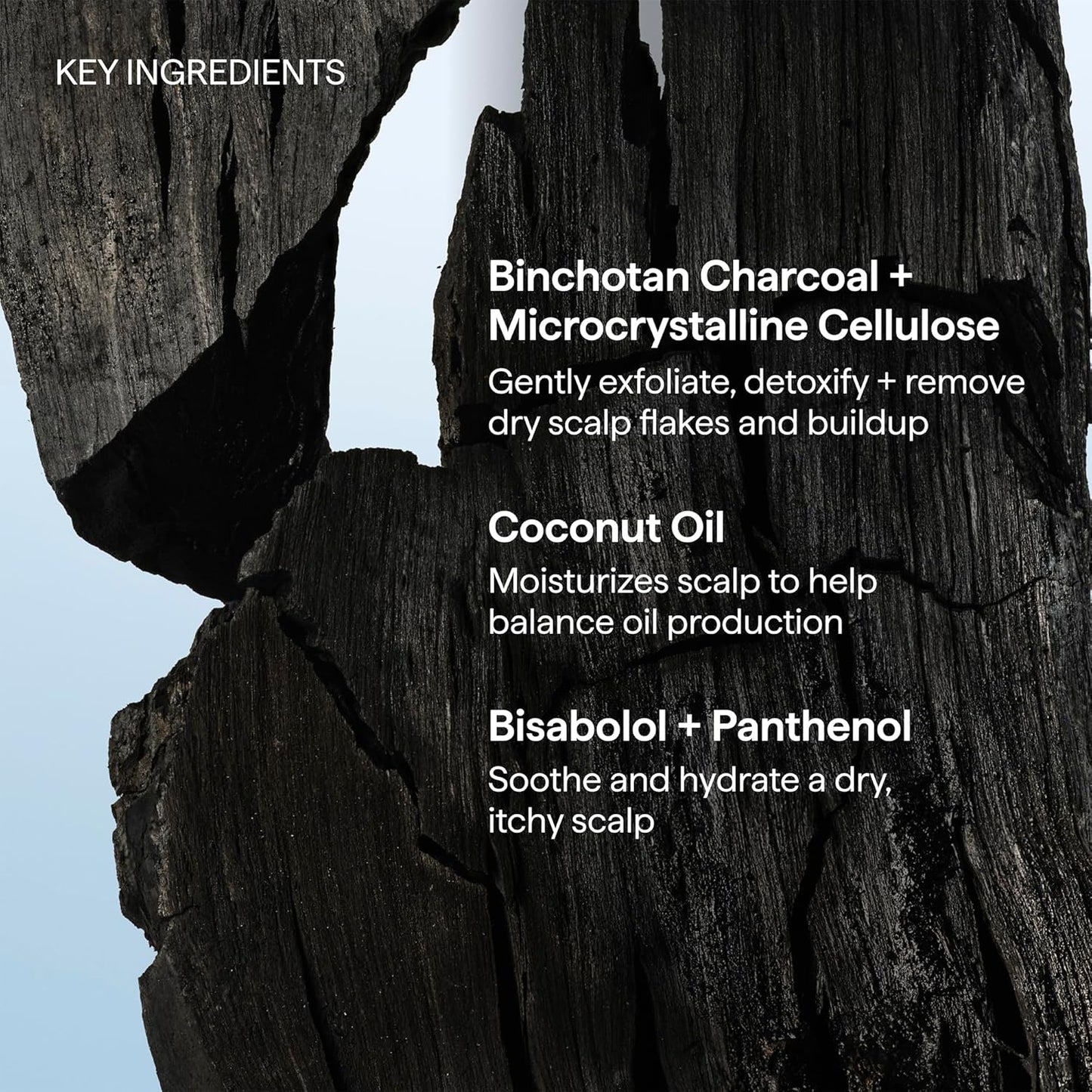 Briogeo Scalp Revival Charcoal + Coconut Oil Micro-Exfoliating Shampoo | Sunday Reset Scalp Detox Ritual for Mindful Self-Care