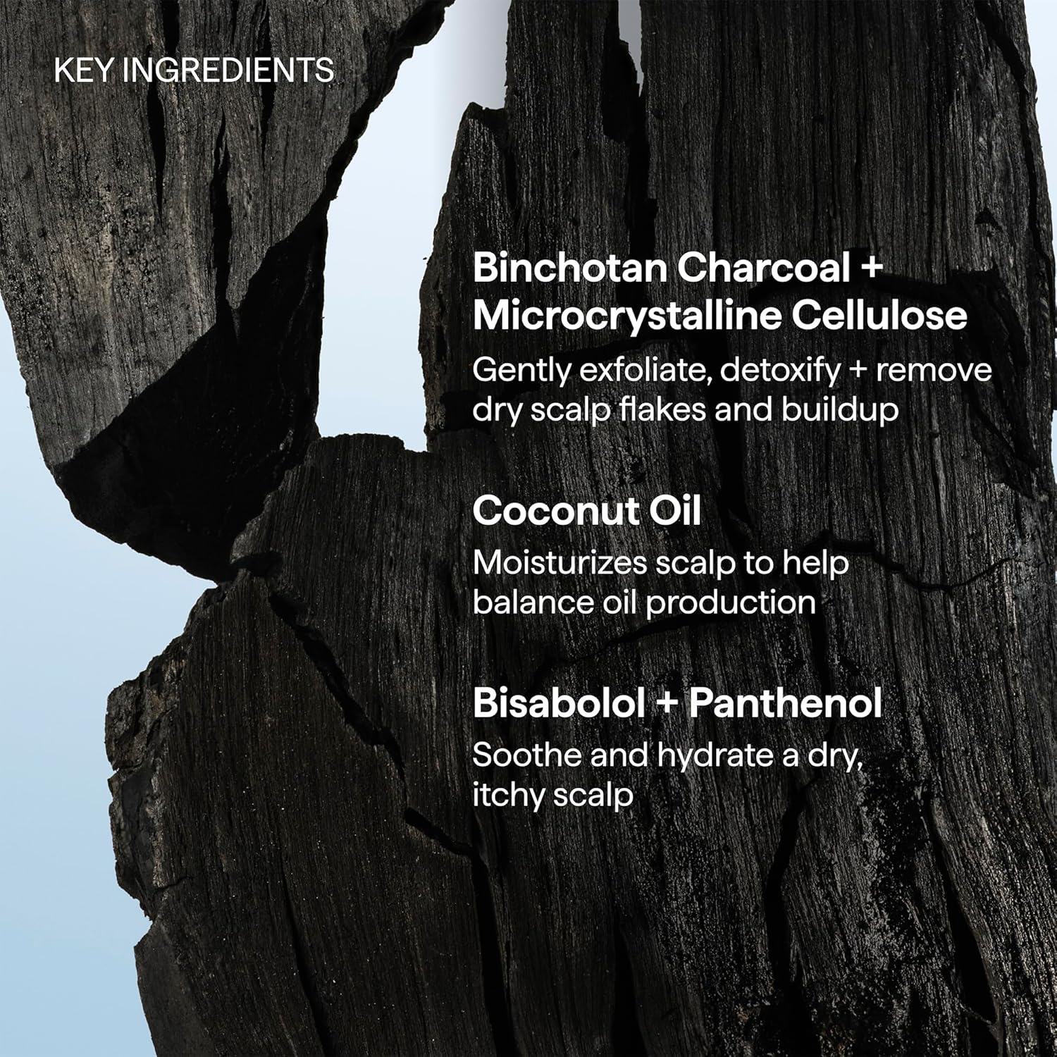 Briogeo Scalp Revival Charcoal + Coconut Oil Micro-Exfoliating Shampoo | Sunday Reset Scalp Detox Ritual for Mindful Self-Care