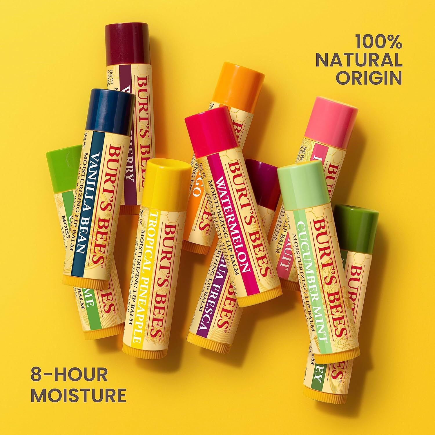 Burt's Bees 100% Natural Lip Balm – Patio and Picnic Lip Care, Pocket-Size 0.15 Oz Tube