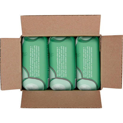 Burt's Bees Cucumber & Mint Face Wipes – Refreshing On-the-Go Cleanser for Camping Trips