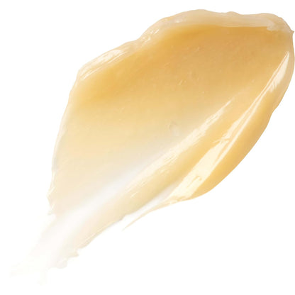 Burt's Bees Overnight Intensive Lip Treatment – Premium Ceramide Lip Mask for an Elevated Nightly Ritual