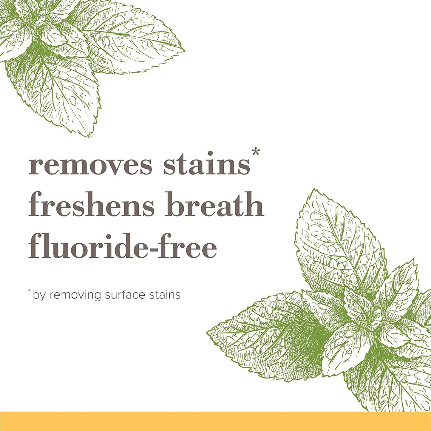 Burt's Bees Purely White Fluoride-Free Toothpaste – Simple Zen Peppermint Formula for an Uncluttered Countertop, 4.7 oz