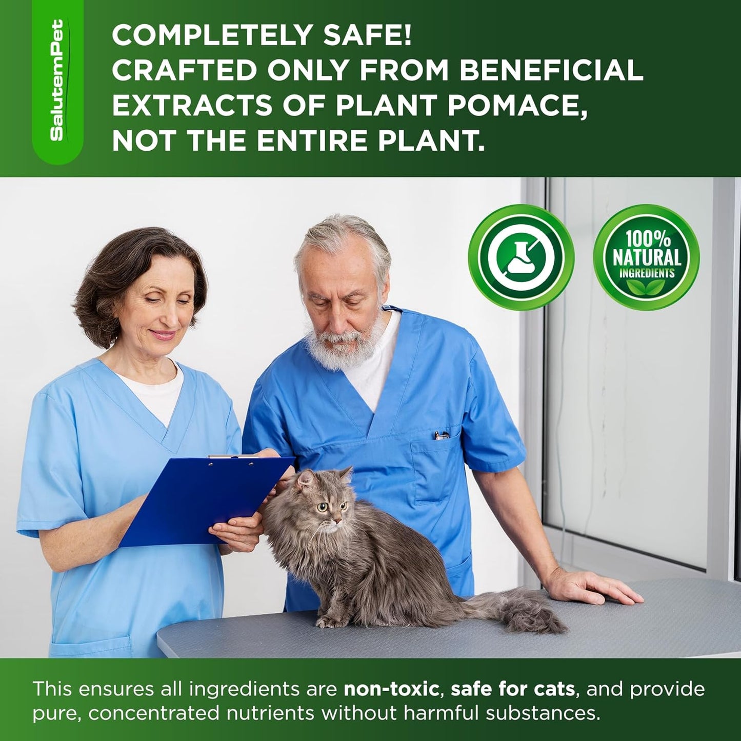 Cat Antibiotic Drops – Holistic Immune and Urinary Wellness Ritual for Daily Cat Care