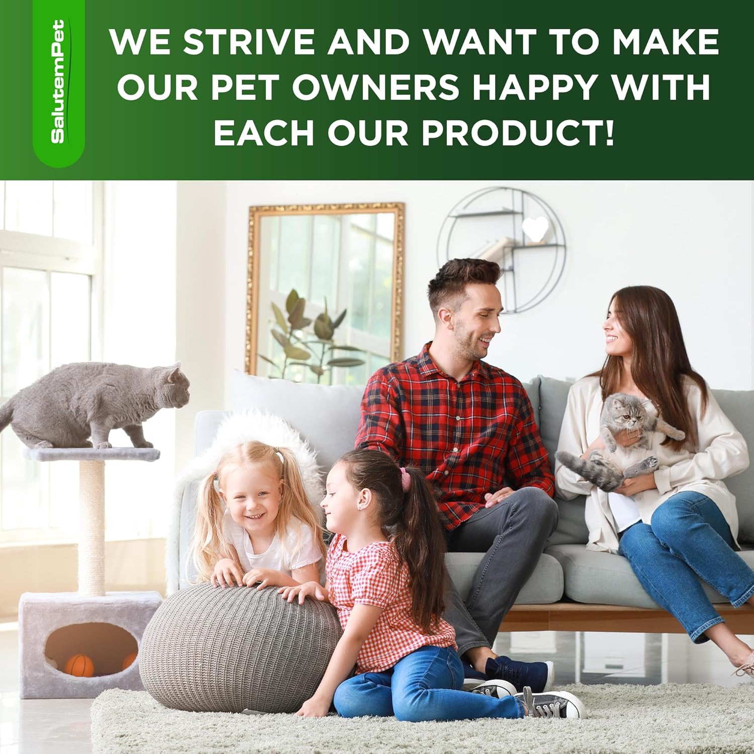 Cat Antibiotic Drops – Holistic Immune and Urinary Wellness Ritual for Daily Cat Care