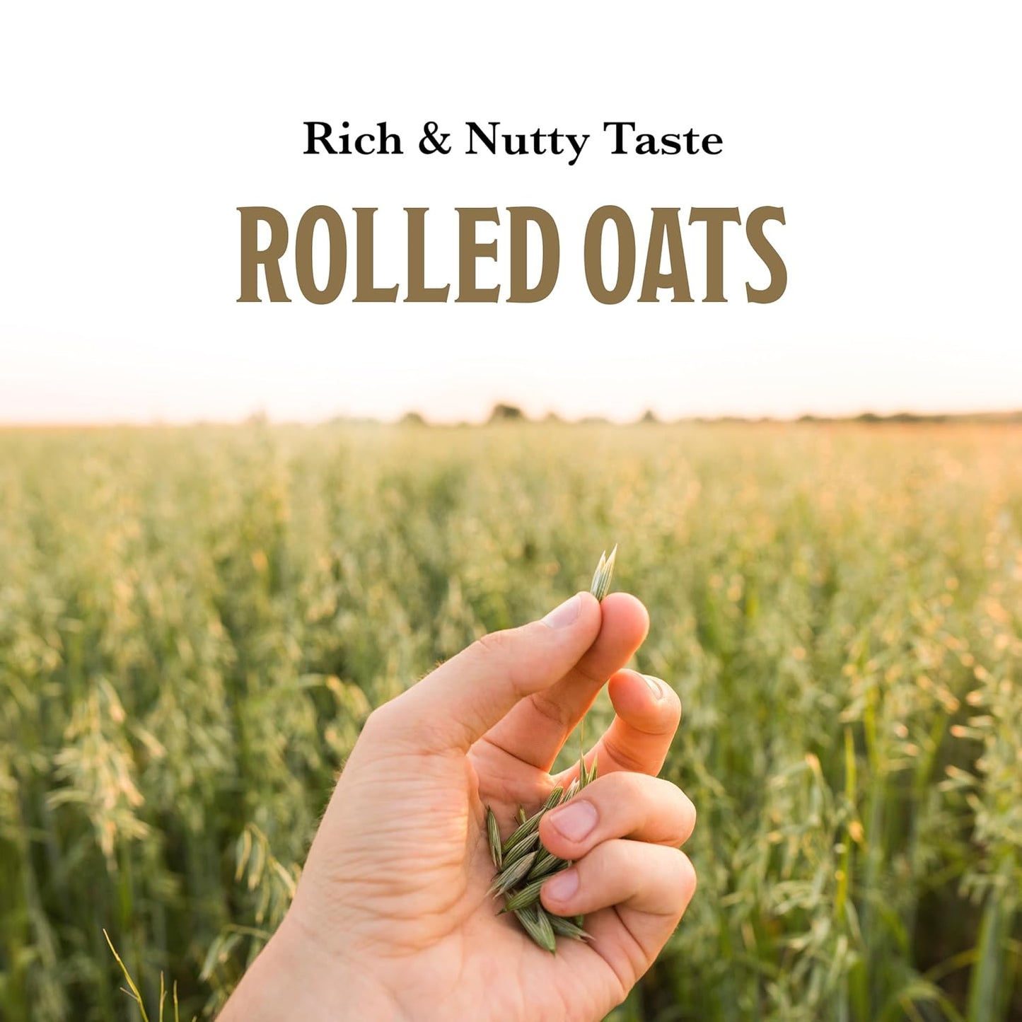 cholesterol-free and sodium-free nutritional profile