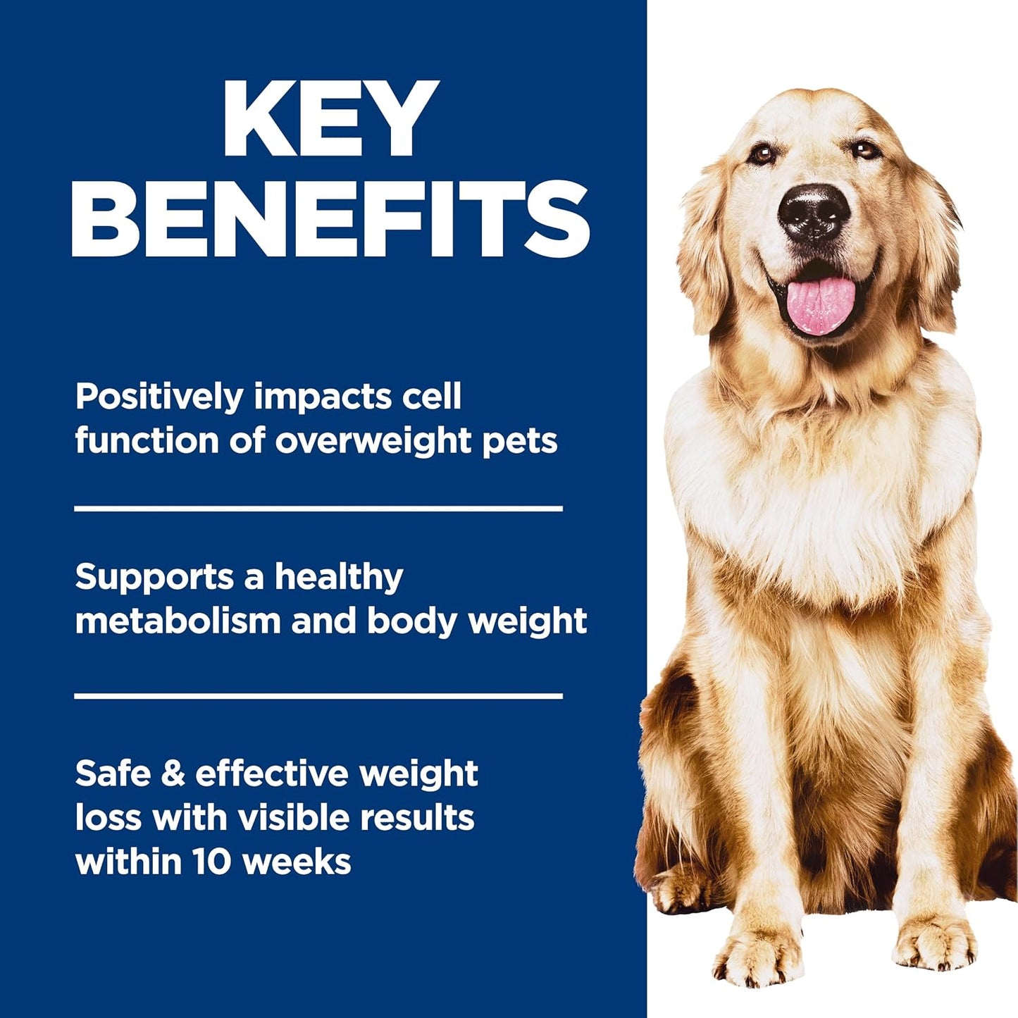 clinically proven 10-week weight loss timeline with visible results