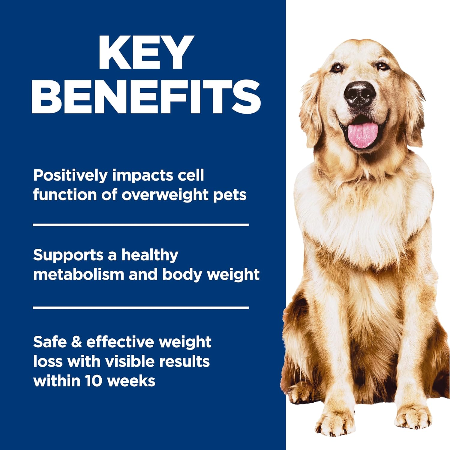 clinically proven 10-week weight loss timeline with visible results
