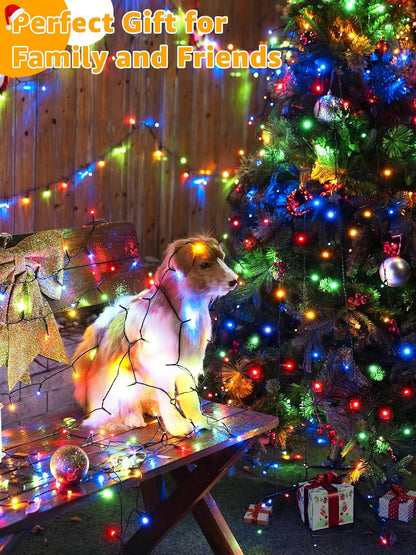 CozyHOME 1000 LED Outdoor Christmas Lights – IP44 Weatherproof Wrap for Trees, Fences & Roofline