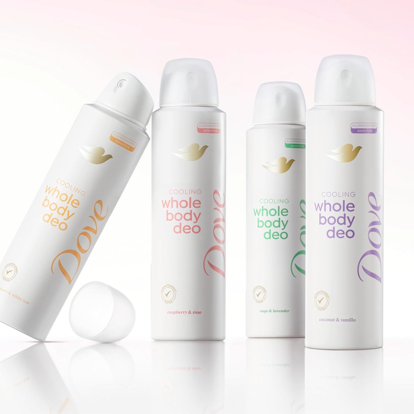 Dove Whole Body Deodorant Raspberry & Rose Travel-Size Spray for Camping, Patio Days, and Hiking Trips